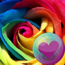 Ícone de Beautiful Roses HD Wallpapers